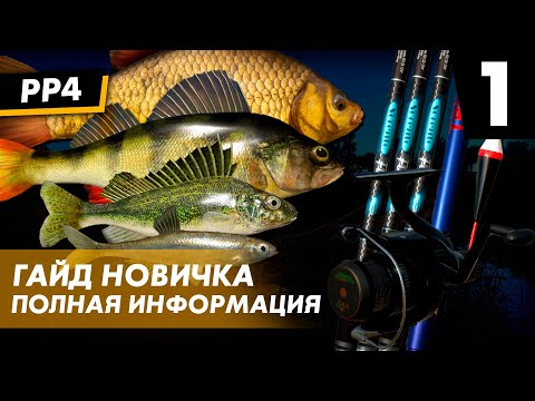 Видео: [НЕ АКТУАЛЬНО] Гайд для новичков - Часть 1 Поплавочная Маховая Русская Рыбалка 4