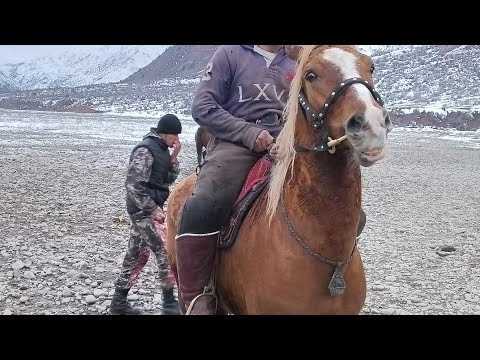 Видео: 22 января 2023 г.Сабкати бузкаши дар Н Сангвор собики тавилдара Исмат човандоз