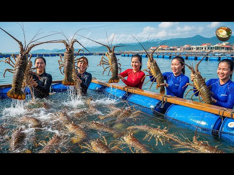 Видео: Шок! Ловля гигантских лобстеров в 2 часа ночи и возвращение домой с сумками денег