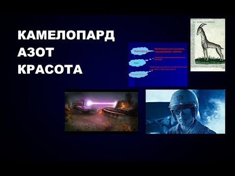 Видео: 195 #КАМЕЛОПАРД #АЗОТ #КИСЛОРОД #АВТОРИТЕТ #КРАСОТА #ОЦЕНКА