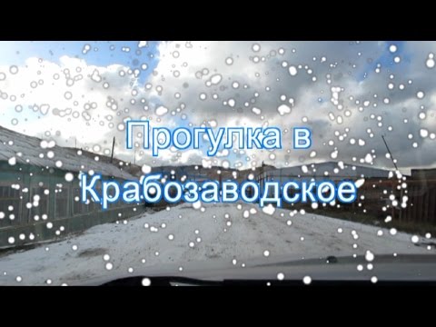 Видео: ОСТРОВ ШИКОТАН. ПРОГУЛКА В КРАБОЗАВОДСКОЕ.