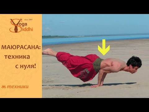 Видео: Маюрасана: техника с нуля!