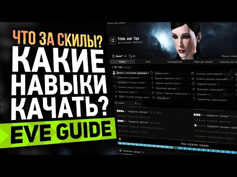 Видео: EVE guide - Изучение навыков [что качать?] - Гайд по EVE Online