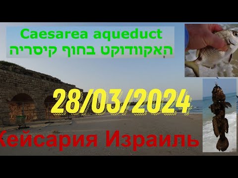 Видео: 4K 28/03/2024 Caesarea קיסריה Кесария  דיג рыбалка fishing