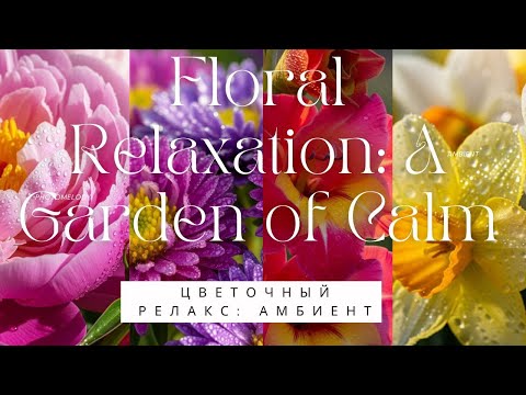 Видео: Nature's Relax: A Flower Garden and Peaceful Ambient Music for Meditation/Эмбиент из Цветочного Сада