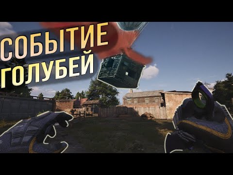Видео: СОБЫТИЕ ДЛЯ ГОЛУБЕЙ В ARENA BREAKOUT (ABI)