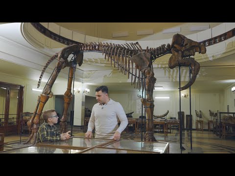 Видео: Динозаврите, "Уча, зная и играя" 05.01.2024