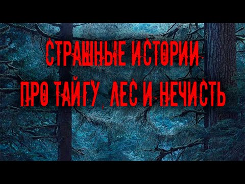 Видео: Страшные истории про тайгу, лес  и нечисть. Мистика Zvook. Олег Ли
