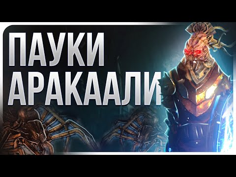 Видео: Оккультистка Пауки Аракаали - Билд на Ведьму - Поселенцы Калгуура Path of Exile 3.25 | Lootkeeper