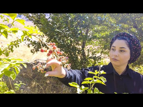 Видео: ИРАН кочевая жизнь 🇮🇷 Повседневная жизнь деревенской женщины в ИРАНЕ | С утра до ночи