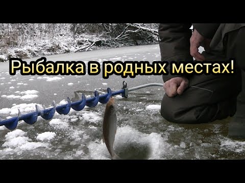 Видео: Рыбалка в родных местах!