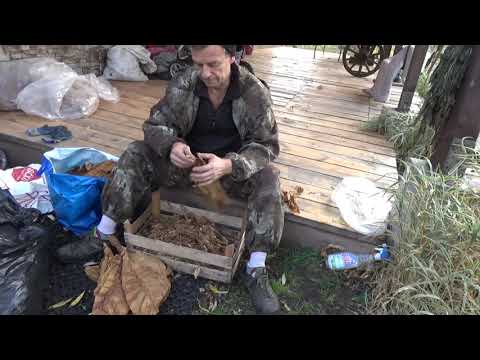 Видео: Табак Трабзон , после  ферментации.
