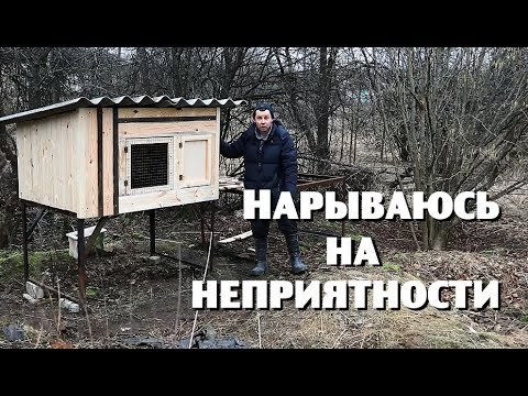 Видео: Занимаюсь любимым делом и напрашиваюсь на неприятности.