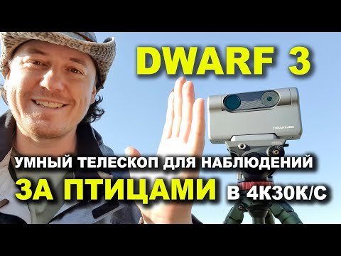 Видео: DWARF 3. Умный телескоп для наблюдения за птицами.