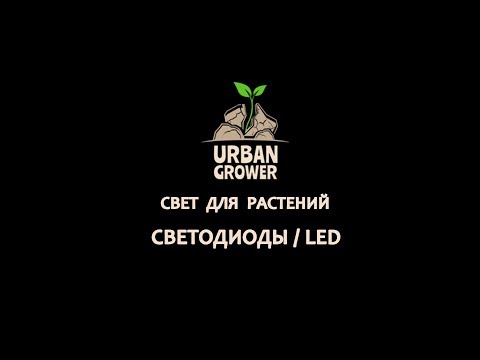 Видео: УРБАН ГРОВЕР УРОК 12 - СВЕТ ДЛЯ РАСТЕНИЙ - СВЕТОДИОДЫ | LED