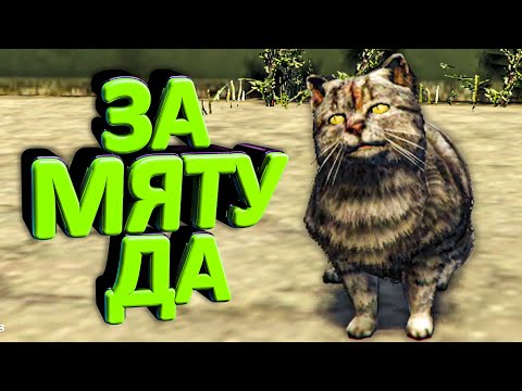 Видео: ЗАМУРЧАТЕЛЬНЫЙ УГАР С БАРСИКОМ в GTA 5🐅 ИЩЕМ КТО ОТЖАРИЛ БЫ РЫБУ