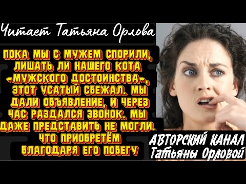 Видео: Читает Татьяна Орлова. Пока мы с мужем спорили, лишать ли нашего кота «мужского достоинства», этот..