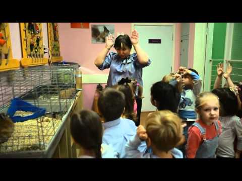 Видео: Воспитатель года 2012, ВАО г.Москва, ГОУ детский сад № 348