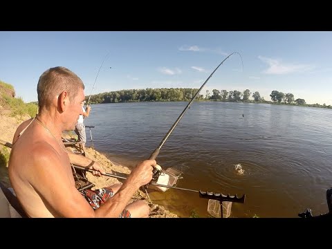 Видео: Ловля Синца в летнее половодье на Оке. Второй день выезда.