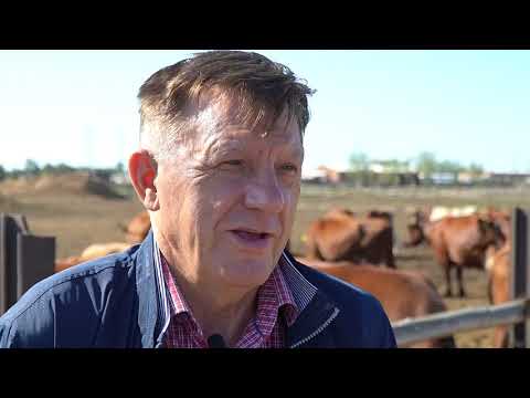 Видео: Немцы Алтая