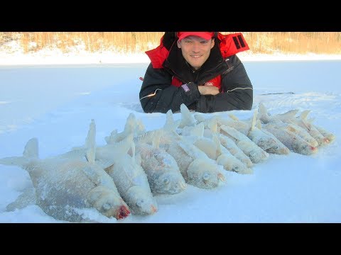 Видео: ВОТ ГДЕ ВСЯ РЫБА!!! СТОИТ СЛОЯМИ! Поиск и раздача. Кто ищет, тот всегда с уловом. ЗИМНЯЯ РЫБАЛКА
