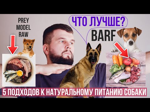 Видео: В чем разница BARF, PMR, ABC, обычной и неправильной натуралкой?