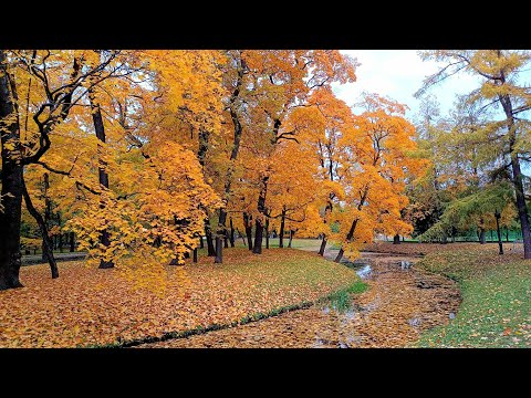 Видео: ТАВРИЧЕСКИЙ САД В ОКТЯБРЕ | ПРОГУЛКА ПО ТАВРИЧЕСКОМУ САДУ В САНКТ-ПЕТЕРБУРГЕ | ОСЕНЬ В ТАВРИЧЕСКОМ