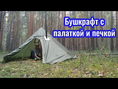 Видео: Кашламский бор. Готовлю на печи. Гуляю по лесам. Огромный муравейник и таинственное гнездо