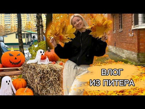 Видео: МЫ ДОМА 🧡У МАМЫ / УЮТНЫЕ ПОКУПКИ / ГОТОВЛЮ / РАЗБОРКИ С AIRBNB / ВЕРНУЛИ ЛИ ДЕНЬГИ? 