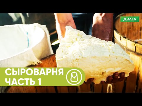 Видео: Сыроварня в Горах. Как Варят Сыр? Часть 1.