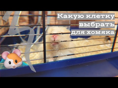 Видео: КЛЕТКА ДЛЯ ХОМЯКА / КАКУЮ ВЫБРАТЬ?