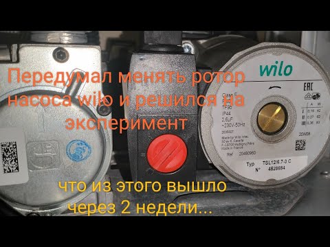 Видео: 4 ноября 2025 г.