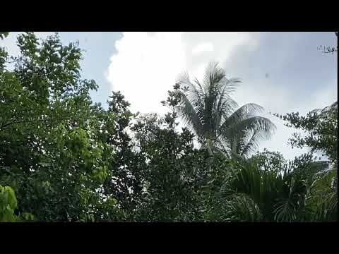 Видео: Медитация возвращения в тело плюс вилома пранаяма