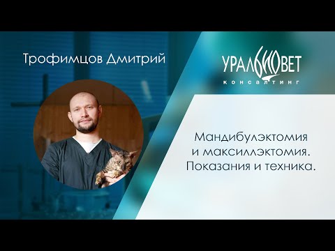 Видео: Мандибулэктомия и максиллэктомия. Показания и техника. Д. Трофимцов #убвк_хирургия #убвк_онкология