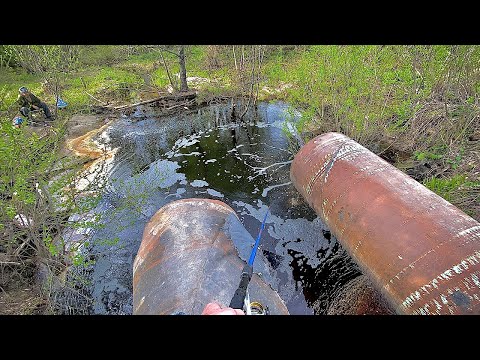 Видео: ВПЕРВЫЕ ПОПАЛ НА ТАКУЮ РЫБАЛКУ | В этой ЛУЖЕ КУЧА Карасей!