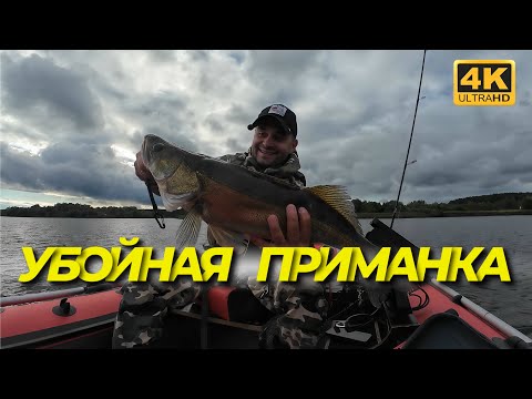 Видео: ГДЕ ОБИТАЕТ СУДАК(Ч.5)?! ‼️Я НАШЕЛ ГДЕ ОБИТАЕТ ТРОФЕЙНЫЙ СУДАК! ПОЛНЫЙ РАЗБОР !