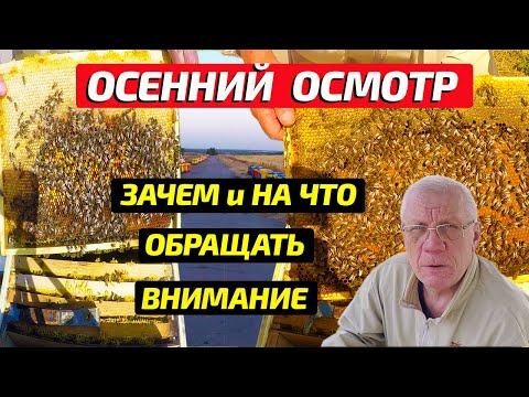 Видео: Осенняя ревизия на пасеке или Главный осенний осмотр.
