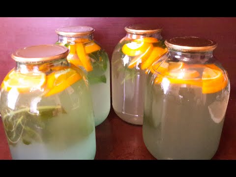 Видео: АПЕЛЬСИНОВОЕ МОХИТО с мятой.На березовом соке.Обалденный вкус