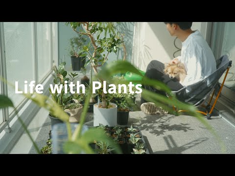 Видео: День, чтобы поливать, пересаживать и спокойно проводить время с растениями