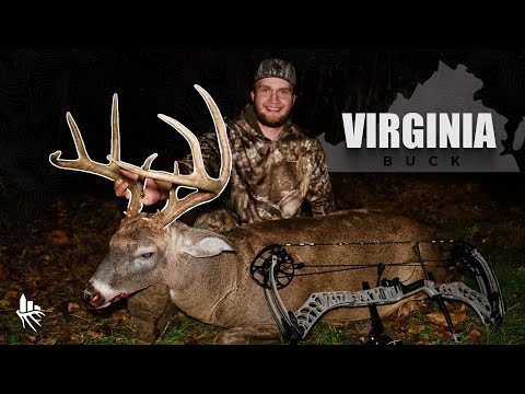 Видео: БОЛЬШАЯ ВОСЬМЕРКА: ГОРОД, ВСТРЯХНИТЕ!