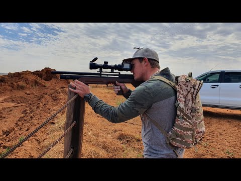 Видео: ZBROIA Kozak FC (550 мм) PCP Bullpup в .22 калибре