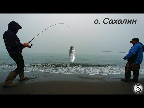 Видео: Рыбалка на Сахалине🐬🐠🐟