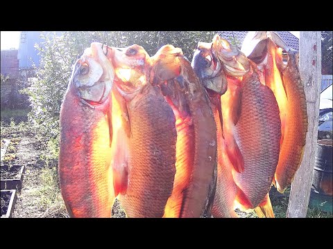 Видео: Язь холодного копчения.Как закоптить рыбу холодным способом (копчением).