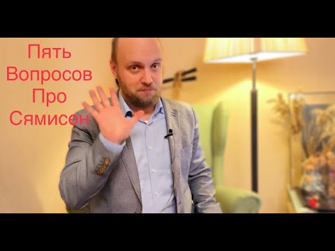 Видео: Пять вопросов про сямисен. Выпуск 2