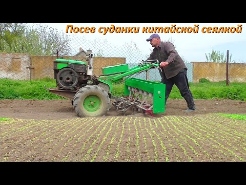 Видео: Посев СУДАНКИ мотоблоком!