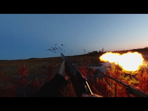 Видео: ОХОТА НА ГУСЕЙ 2023! ДАЛИ ЖАРУ! СУПЕР НАЛЁТЫ! ДВА ДНЯ НА БОЛОТЕ! РУЖЬЯ НЕ ВЫДЕРЖИВАЮТ!(фильм второй)