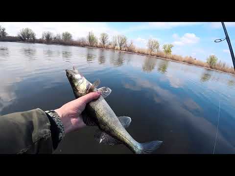 Видео: Волго-Ахтубинская пойма весной