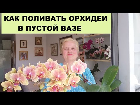 Видео: КАК ПОЛИВАТЬ ОРХИДЕИ В ПУСТОЙ ВАЗЕ КОГДА ВЫ УЕХАЛИ
