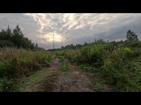 Видео: 5 утра - Раменское (Холодово), Стрелка, просека Северное ш.