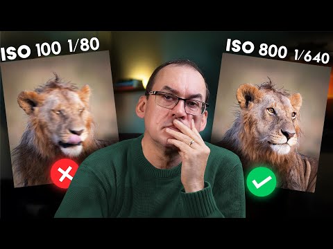 Видео: 8 САМЫХ РАСПРОСТРАНЕННЫХ ОШИБОК НОВИЧКОВ, КОТОРЫХ НУЖНО ИЗБЕГАТЬ (и да, я совершил их все!)